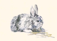 Kaninchen, 2006, Aquarell und Graphit auf Hadern